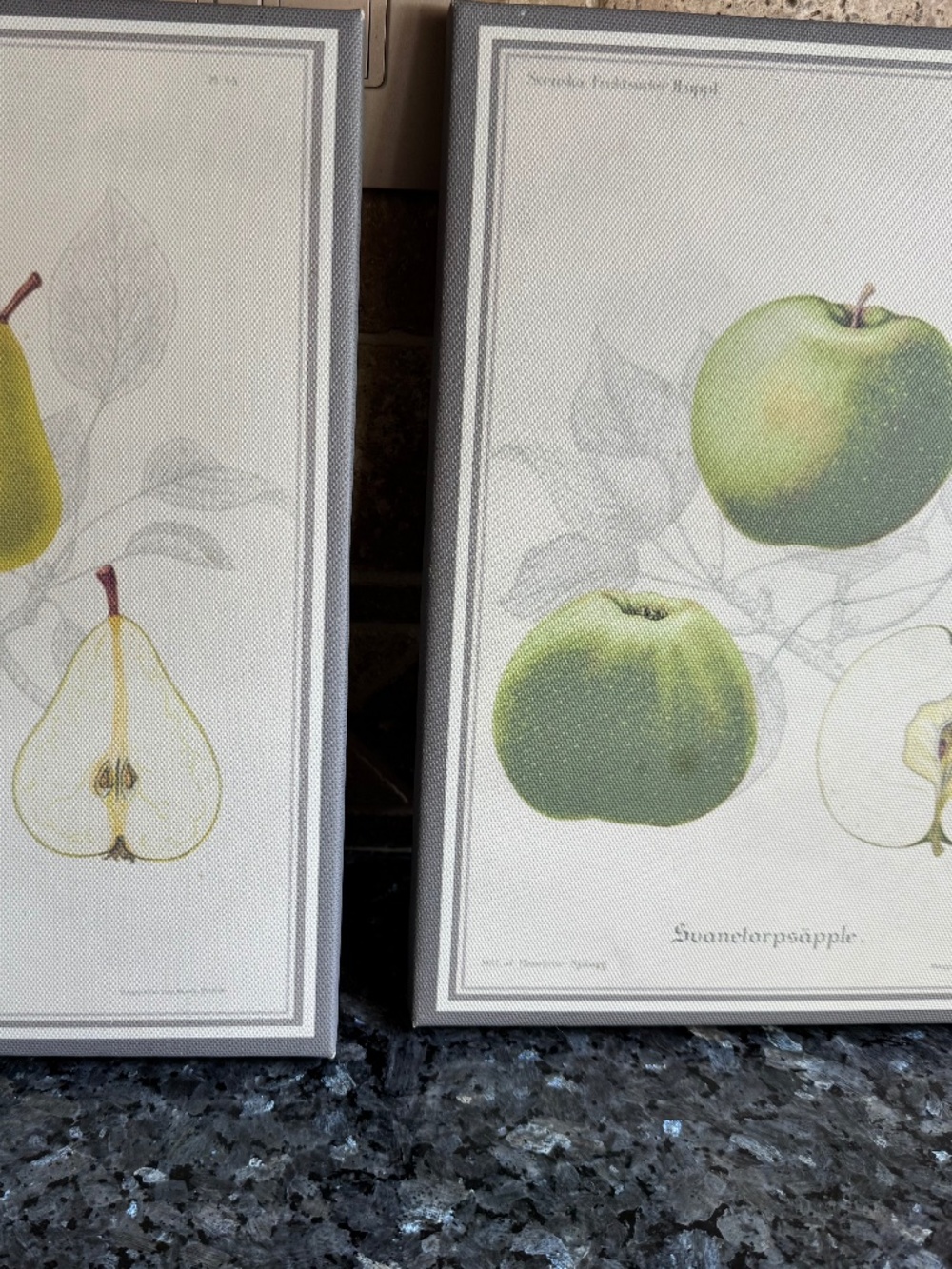 Sweet Fruit Still Life Prints  Green  Apple & Pear on Material  Framed